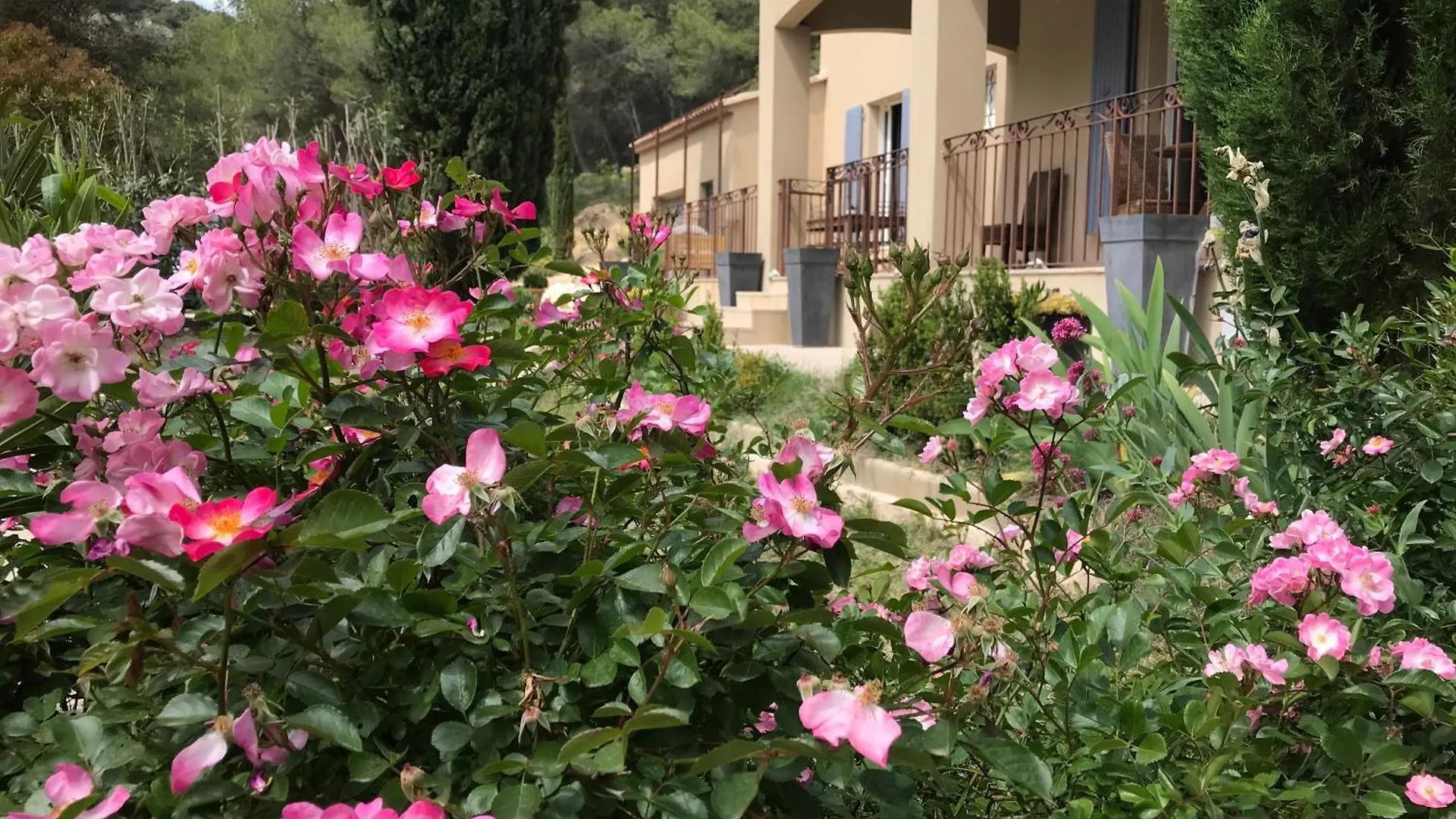 Chambre D'Hotes La Manola Rognes Bed & Breakfast